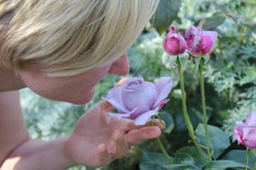 pause - smell the roses